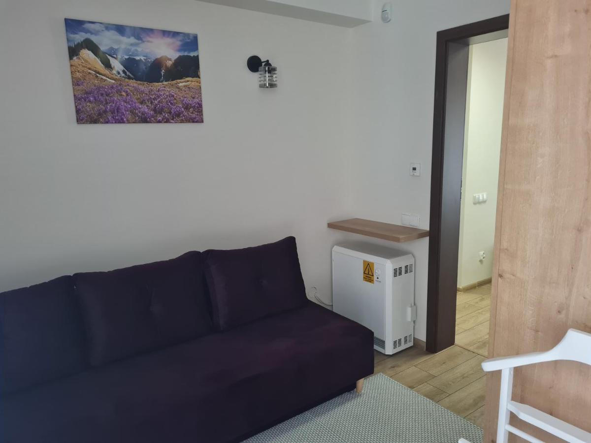 Apartamenty Convallis Kościelisko Eksteriør billede